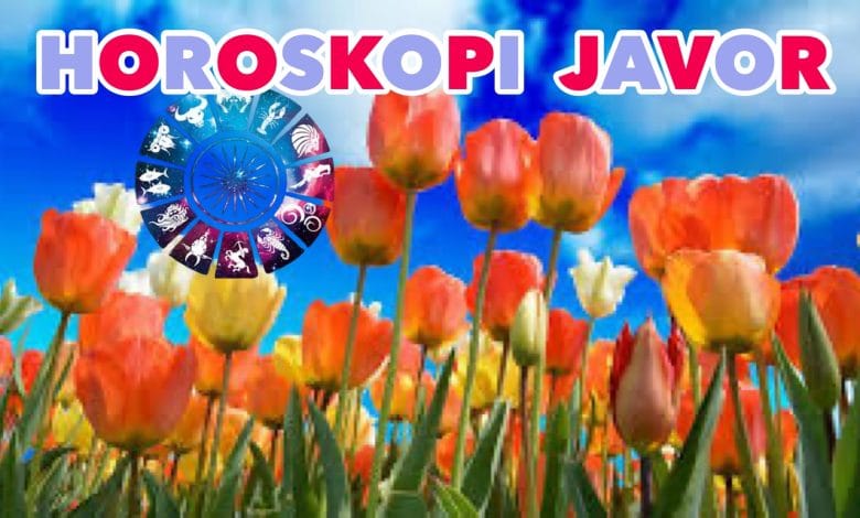 Phonto 3