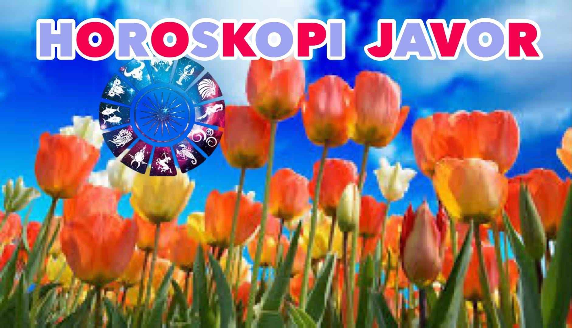Phonto 3