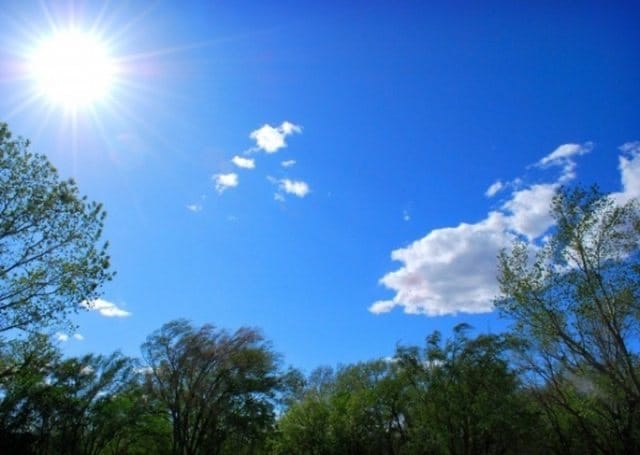 Img 4921 1